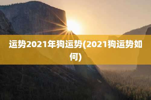 运势2021年狗运势(2021狗运势如何)