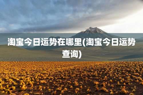 淘宝今日运势在哪里(淘宝今日运势查询)