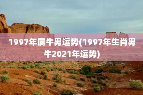 1997年属牛男运势(1997年生肖男牛2021年运势)