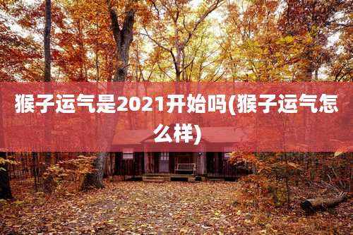 猴子运气是2021开始吗(猴子运气怎么样)