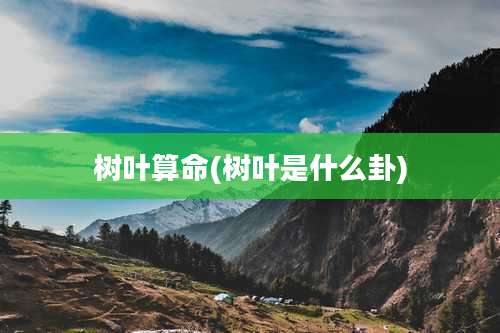 树叶算命(树叶是什么卦)