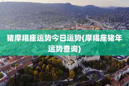 猪摩羯座运势今日运势(摩羯座猪年运势查询)