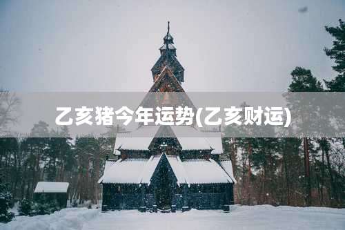 乙亥猪今年运势(乙亥财运)