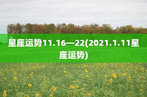 星座运势11.16—22(2021.1.11星座运势)
