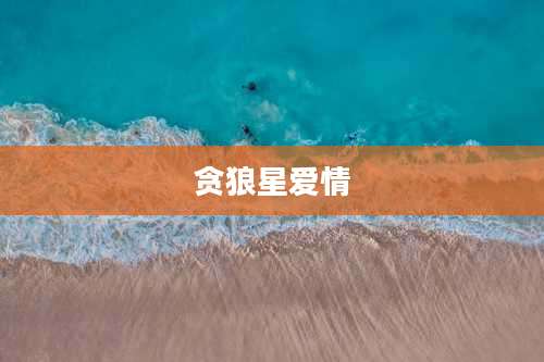 贪狼星爱情