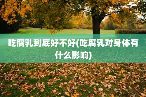 吃腐乳到底好不好(吃腐乳对身体有什么影响)