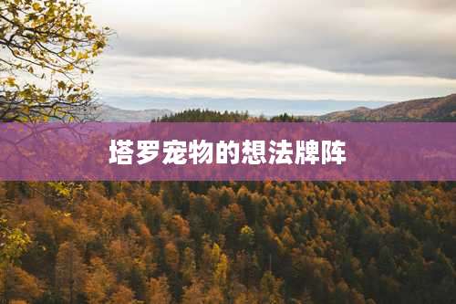 塔罗宠物的想法牌阵