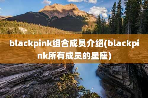 blackpink组合成员介绍(blackpink所有成员的星座)