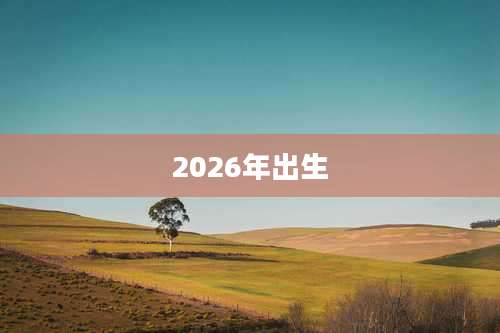 2026年出生