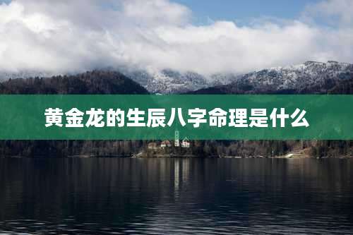 黄金龙的生辰八字命理是什么