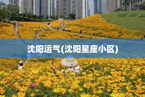 沈阳运气(沈阳星座小区)