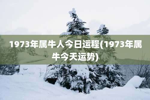 1973年属牛人今日运程(1973年属牛今天运势)