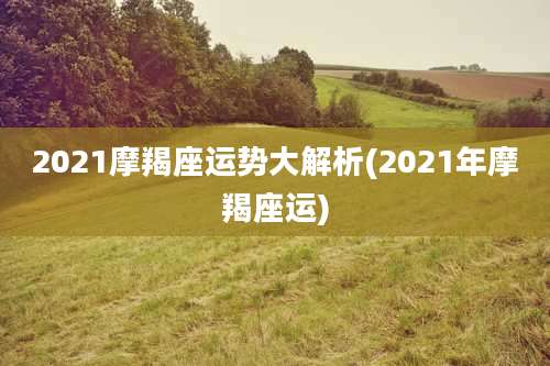 2021摩羯座运势大解析(2021年摩羯座运)
