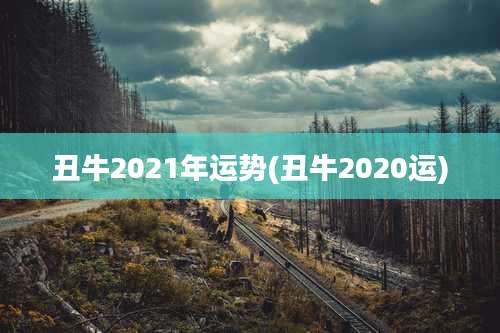 丑牛2021年运势(丑牛2020运)