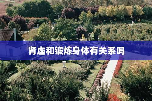 肾虚和锻炼身体有关系吗