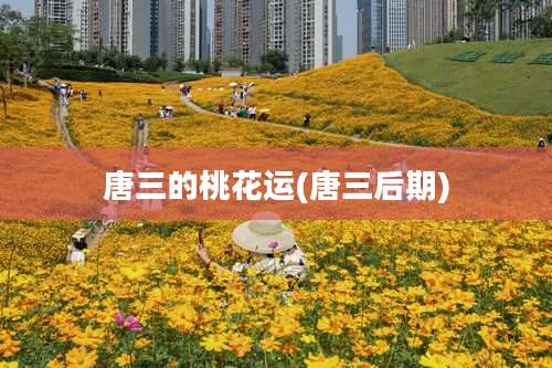 唐三的桃花运(唐三后期)