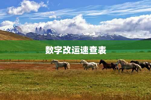 数字改运速查表