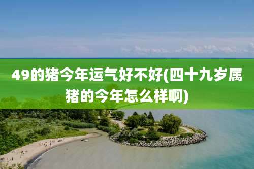 49的猪今年运气好不好(四十九岁属猪的今年怎么样啊)