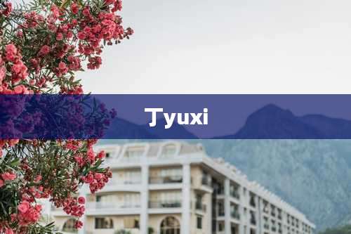 丁yuxi