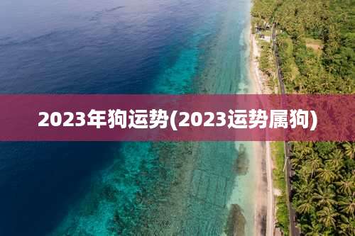 2023年狗运势(2023运势属狗)