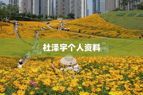 杜泽宇个人资料