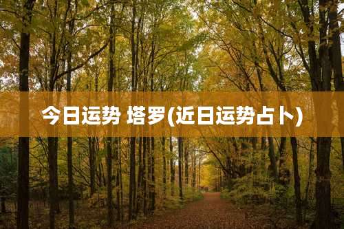 今日运势 塔罗(近日运势占卜)