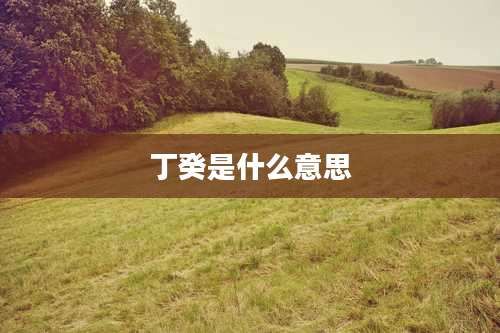 丁癸是什么意思