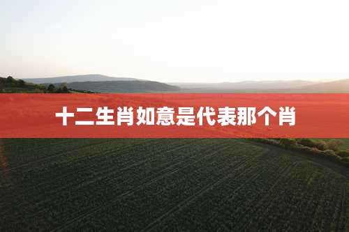 十二生肖如意是代表那个肖