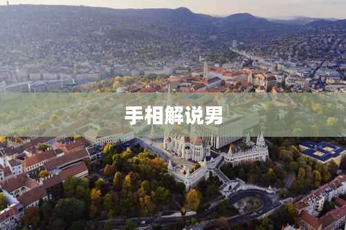 手相解说男