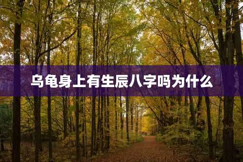 乌龟身上有生辰八字吗为什么