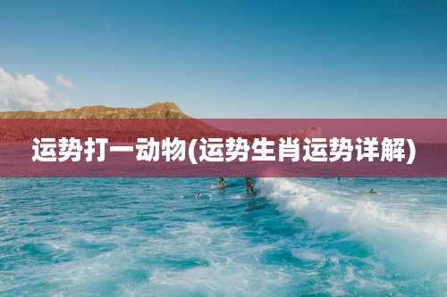 运势打一动物(运势生肖运势详解)