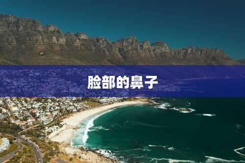 脸部的鼻子