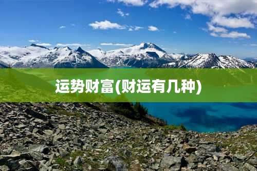 运势财富(财运有几种)