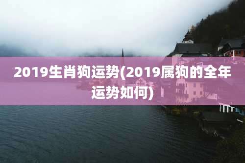 2019生肖狗运势(2019属狗的全年运势如何)