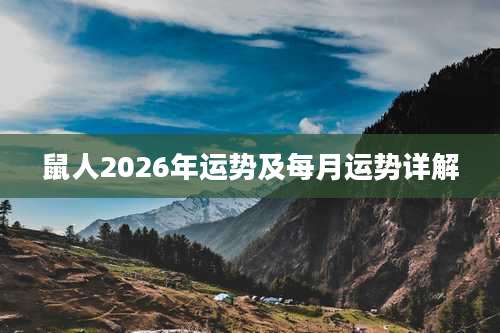 鼠人2026年运势及每月运势详解