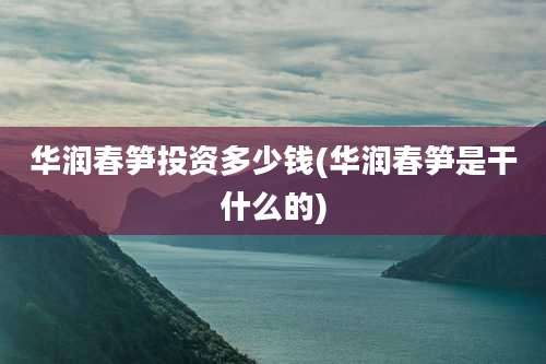 华润春笋投资多少钱(华润春笋是干什么的)