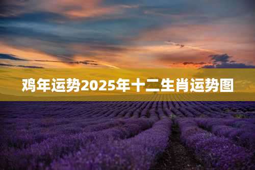 鸡年运势2025年十二生肖运势图