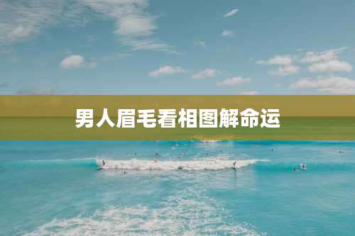 男人眉毛看相图解命运