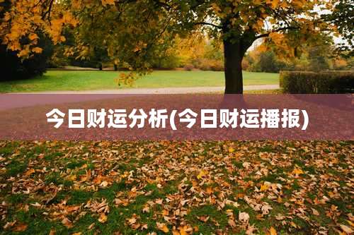 今日财运分析(今日财运播报)