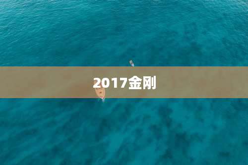 2017金刚