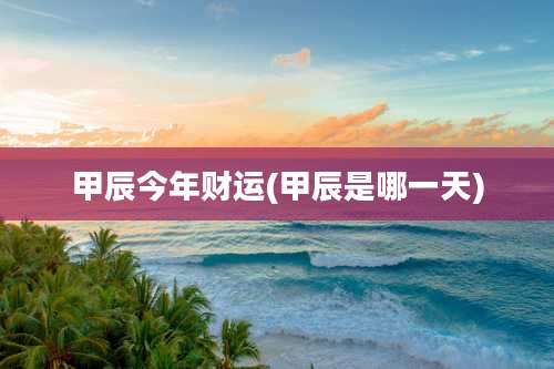 甲辰今年财运(甲辰是哪一天)