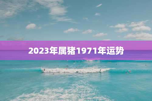 2023年属猪1971年运势