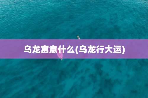 乌龙寓意什么(乌龙行大运)