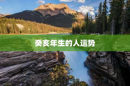 癸亥年生的人运势