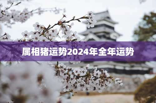 属相猪运势2024年全年运势