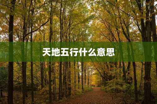 天地五行什么意思