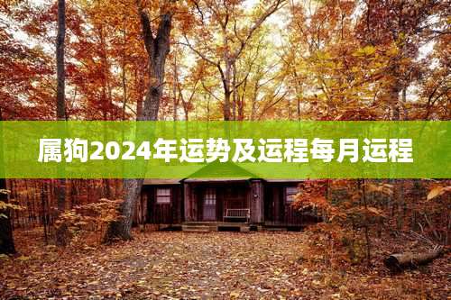 属狗2024年运势及运程每月运程