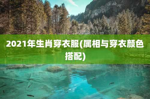 2021年生肖穿衣服(属相与穿衣颜色搭配)