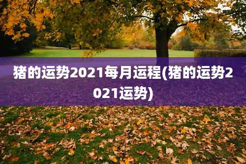 猪的运势2021每月运程(猪的运势2021运势)