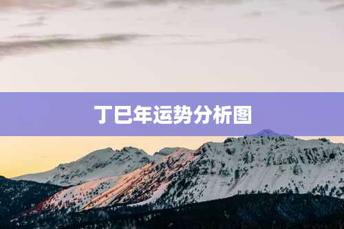 丁巳年运势分析图
